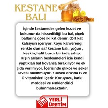 Balarım Kestane Balı 470 gr