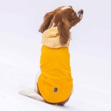 Pawstar Sarı Gingham Kapşonlu Kedi Köpek Tişörtü