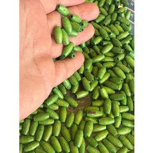 Gönülden Tasarım 1.5 cm  30 Adet Ahşap Bambu Delikli Takı Boncuğu