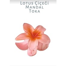 Paye Store Lotus Çiçeği Mandal Toka