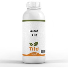 Tito Laktaz (Beta Galaktosidaz) 1 kg