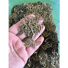 Gönülden Tasarım 1 cm 10 gr Delikli Füme Çelik Takı Oya Yazma Giyim Pul Boncuk