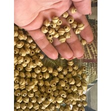 Gönülden Tasarım 1 cm 30 Adet Burgulu Ahşap Delikli Takı Boncuğu