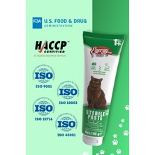 Energy Sterile Paste 100 gr Kısırlaştırılmış Kediler Için Yüksek Içerikli Multivitaminli Malt Macun