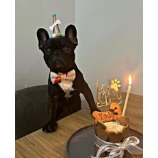 Patisserie Store Köpekler Için Doğum Günü Seti-Gold Paw Kit- Doğum Günü Pastası,pati Tasarımlı Süs,doğum Günü Şapkası