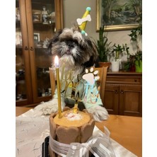 Patisserie Store Köpekler Için Doğum Günü Seti-Gold Paw Kit- Doğum Günü Pastası,pati Tasarımlı Süs,doğum Günü Şapkası