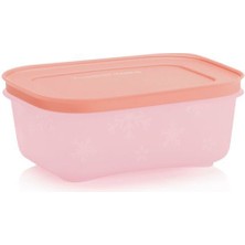 Tupperware Alaska 450 ml Derin Dondurucu Ve Buzdolabı Saklama Kabı 4 lü