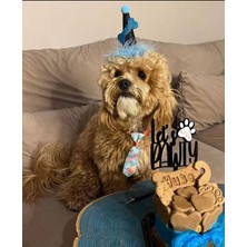 Patisserie Store Köpekler Için Doğum Günü Parti Şapkası Siyah Mavi
