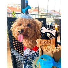 Patisserie Store Köpekler Için Doğum Günü Parti Şapkası Siyah Mavi