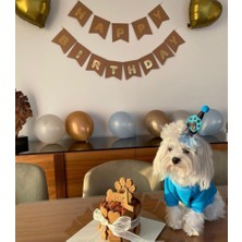 Patisserie Store Köpek/ Kedi Için Doğum Günü/ Parti Şapkası- Kukuleta! Siyah & Mavi Pati Desenli