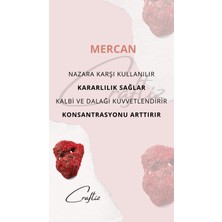 Mercan Taşı Kalp Kolye - Çelik Zincir ile Aşk ve Doğal Güzellik