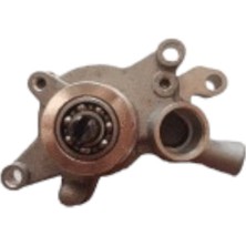 Mondial Buffalo 250 Devirdaim Su Pompası MOTO11