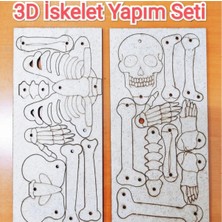 Eğitici Hobi Iskelet Sistemi Yapım Seti Ahşap Boyanabilir Montessori Eğitim Ürünü Fen Bilimleri Deneyleri