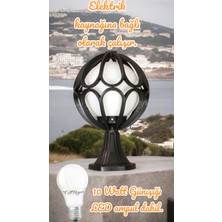 Full Reyon 10 Watt Günışığı Ampul Dahil, Elektrikle Çalışır Bahçe Duvar Aydınlatma Armatürü, Set Üstü Papatya Aplik