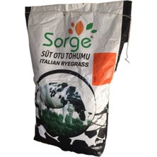 Esin Tohum Ryegrass Otu Tohumu Süt Otu Tohum 500 gr