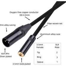 Bearrt Xlr 3 Pin Erkek Fiş 3,5 mm 1/8 Inç Dişi Stereo Ses Adaptörü Mikrofon Uzatma Kablosu Tel, 1 Feet/0. (Yurt Dışından)