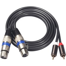 Bearrt Hifi Ses Kablosu 2 Rca Erkek Xlr 3 Pin Dişi Karıştırma Konsolu Amplifikatör Çift Rca Çift Xlr Korumalı Kablo (Yurt Dışından)