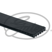 Gates  GAT-6PK1000 Kanallı Kayış Peugeot 307 2.0 16V 01-09 407...