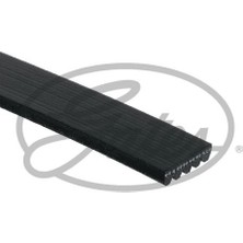 Gates  GAT-5PK955 Kanallı Kayış Palıo Weekend -Albea 1.4