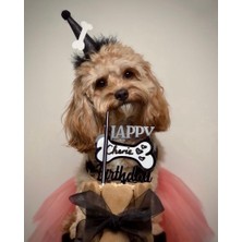 Patisserie Store Köpekler Için Doğum Günü/ Parti Şapkası- Siyah