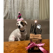 Patisserie Store Köpekler Için Doğum Günü/ Parti Şapkası Pembe Siyah Kukuleta