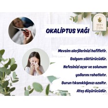 Sera Natura Okaliptus Uçucu Yağı 10 Ml. %100 Saf