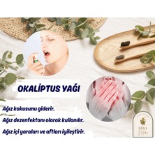 Sera Natura Okaliptus Uçucu Yağı 10 Ml. %100 Saf