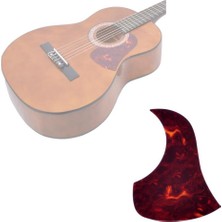 Gitar Pena Korumalığı PG165YR Pick Guard