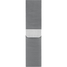 Teknoloji World Apple Watch Uyumlu 38MM / 40MM / 41MM Milano Kordon Metal Kayış Sılver/gümüş