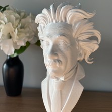 Root Made Einstein Büst 20 cm