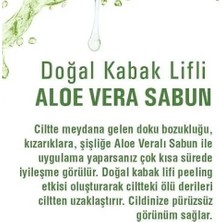 Aloavera Kabak Lifli Sabun