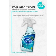 Eyüp Sabri Tuncer 11 Al 10 Öde Eyüp Sabri Tuncer Gizli Bahçe Oda Kokusu Okyanus Ferahlığı 500 ml ve Rosıe