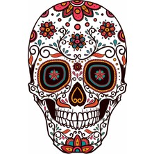 Sticker Usta Kurukafa Araba Oto Motosiklet Sticker 00077