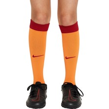 GS Store Nike Galatasaray 2023/2024 Çocuk Parçalı Iç Saha Forma Set FJ6954-836