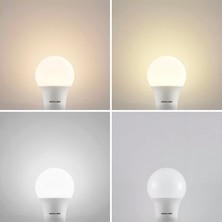 Maxled MX-3072G - 9W 3000K Gün Işığı | LED Ampul