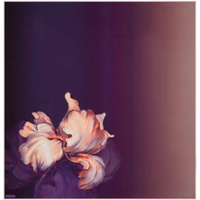 Bursa İpek Mor Süsen Desen Twill Ipek Eşarp