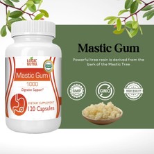 Dietary Supplement Locig Nutra Mastic Gum 120 Capsules Doğal Damla Sakızı Ekstresi 120 Kapsül