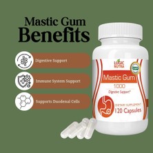 Dietary Supplement Locig Nutra Mastic Gum 120 Capsules Doğal Damla Sakızı Ekstresi 120 Kapsül