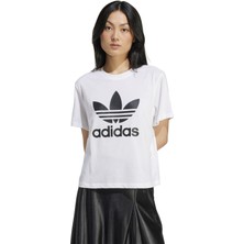 Adidas Originals IN8441 Adicolor Trefoil Boxy Tee