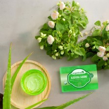 Organicsun Doğal Aloe Vera Sabunu 140 gr x 3 Adet Tüm Cilt Tipleri Için Yatıştırıcı ve Canlandırıcı Etkili