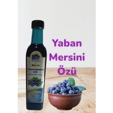 Anadolu Meyveleri Yaban Mersini Özü Doğal Organik 500 ml 700 gram