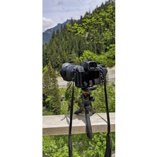 Kingjoy KT-660 Aynasız Fotograf Makinesi ve Telefon Uyumlu Ahtapot Esnek Tripod + Mini 49 LED Işık