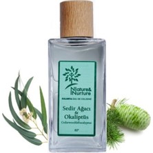 Nature & Nurture Sedir Ağacı & Okaliptüs Kolonyası 80° 190 ml Cam Şişe