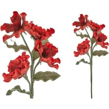 Lamedore Kokoş Çiçeği Kırmızı 100 cm