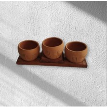Toprak Ahşap Basamak Standlı Siyah Çizgi Desenli Podyum 3 Adet Toprak Saksı 7*7 cm