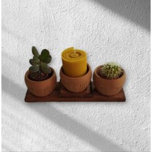 Toprak Ahşap Basamak Standlı Siyah Çizgi Desenli Podyum 3 Adet Toprak Saksı 7*7 cm