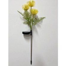 Lebeigo Güneş LED Su Geçirmez Simüle Bana Çiçek Atmosferi Açık Bahçe Avlu Dekoratif Çim Lambası (Yurt Dışından)