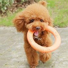 Huoxun Shop A Kırmızı Stil 7cm Köpek Eğitim Halkası Çekiştirme Dayanıklı Isırık Yüzen Oyuncak Yavru Dış Mekan Etkileşimli Oyun Oynama Ürünleri Tedarik Evcil Hayvan Uçan Dm (Yurt Dışından)