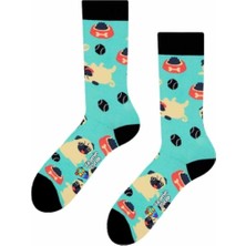 Vitamin Çorap Köpek Mama Renkli Çorap