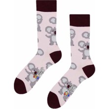 Vitamin Çorap Koala Kafalar Renkli Çorap